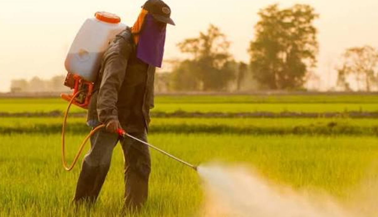 Pesticides